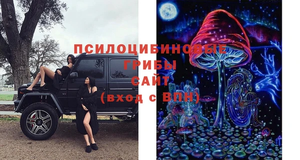 бутират Медвежьегорск