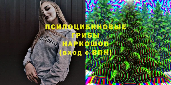 mdpv Магас